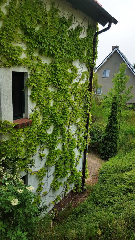 Haus Seefeld 于克里茨 外观 照片